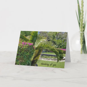 Carte vous pensez jardin tropical avec palmiers