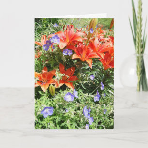 Carte Vous pensez, Orange Lillies