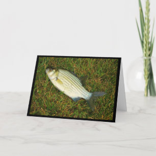 Carte Vous Sentez Comme Un Poisson Hors De L'Eau ? Obten
