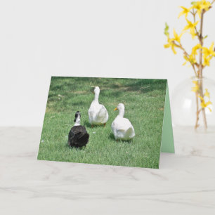 Carte Vous serez manqués