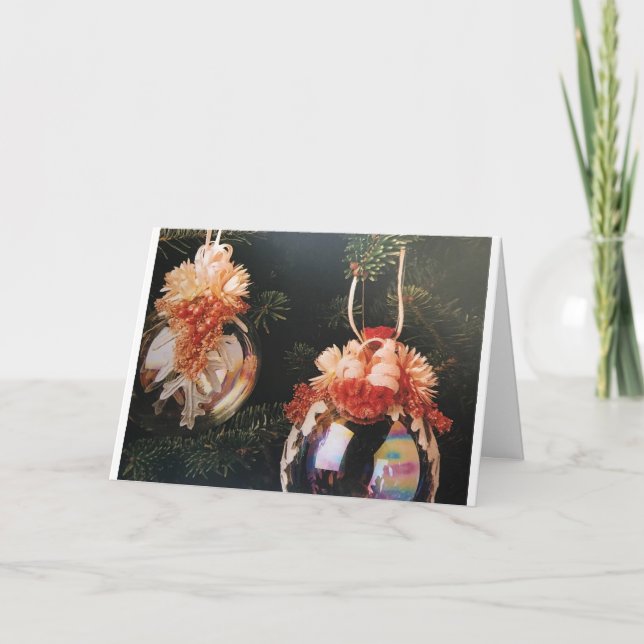 CARTE VOUS SOUHAITEZ LES **MEILLEURES VACANCES** ET NOUV (Devant)