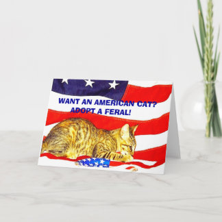 Carte Vous voulez un chat américain ? Adoptez une Feral