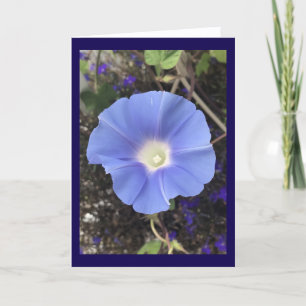 Carte Vraie Gloire du Matin Bleue
