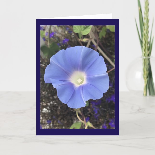 Carte Vraie Gloire du Matin Bleue (Devant)