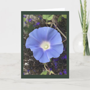 Carte Vraie Gloire du Matin Bleue