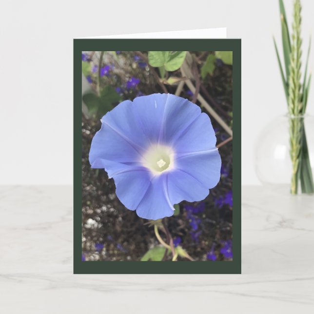 Carte Vraie Gloire du Matin Bleue (Devant)