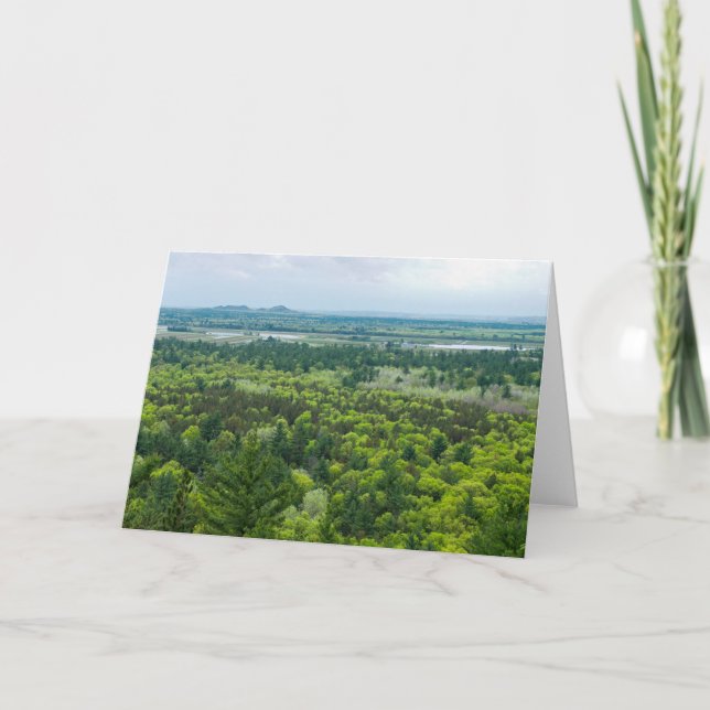 Carte Vue aérienne de la forêt de Black River State (Devant)