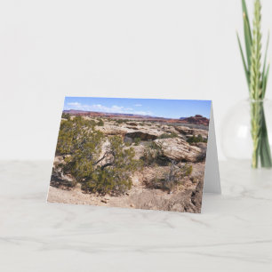 Carte Vue de Canyonlands depuis le sentier Cave Springs