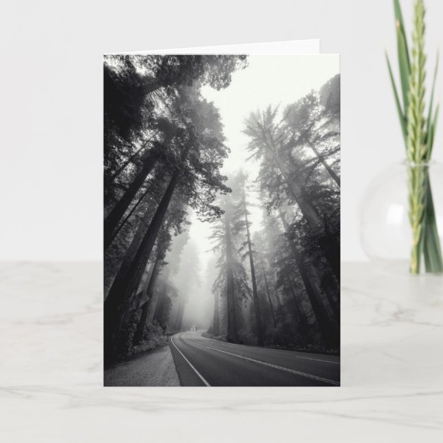 Carte Vue des arbres de séquoia dans la forêt (Devant)