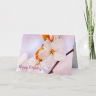 Carte Vue Frontale De La Fleur Sakura Au Printemps