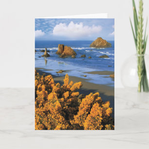Carte Vue Sur La Plage De L'Oregon À Bandon