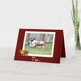 Carte w/Basset de bon thanksgiving et tarte de