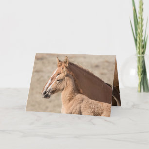 Carte Wanda the Wild Filly Wild Horse Greeting Card