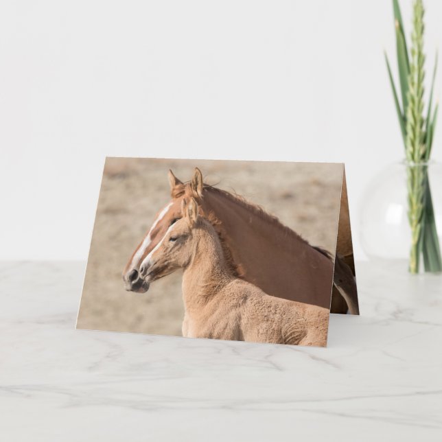 Carte Wanda the Wild Filly Wild Horse Greeting Card (Devant)