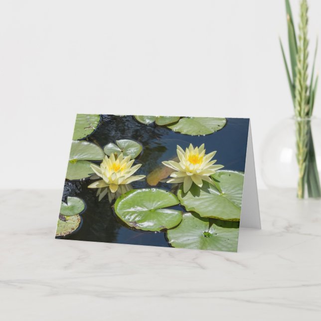 Carte Waterlily Blank Note Card (Devant)