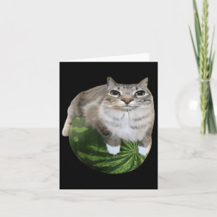 Carte Watermelon Cat Silly Cat Meme