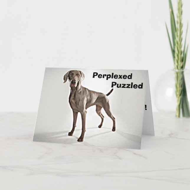 CARTE WEIMARANER EST PERPLEXED/PUZZLED U R 40! (Devant)