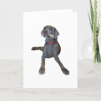 Carte Weimaraner Greeting Cards