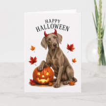 Weimaraner Halloween Diable Chien
