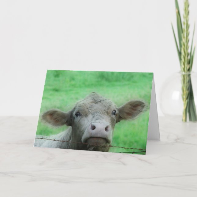 Carte Well, Hello There Cow All Occasions  (Devant)