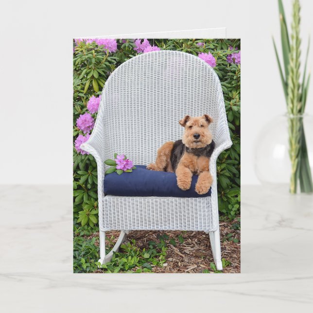 Carte Welsh Terrier dans le jardin (Devant)