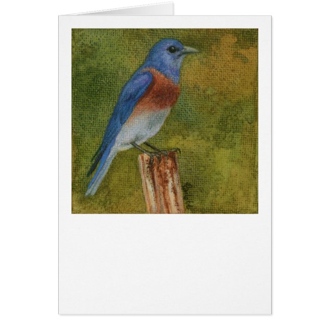 Carte Western Bluebird (Devant)