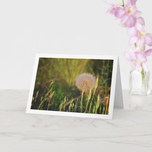 Carte Western Salsify Plante Card (Orchidée)