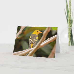 Carte Western Tanager Bird