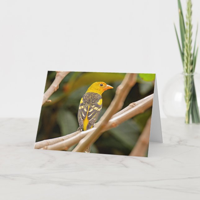 Carte Western Tanager Bird (Devant)
