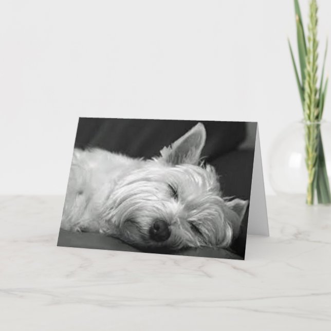 Carte Westie Asleep (Devant)