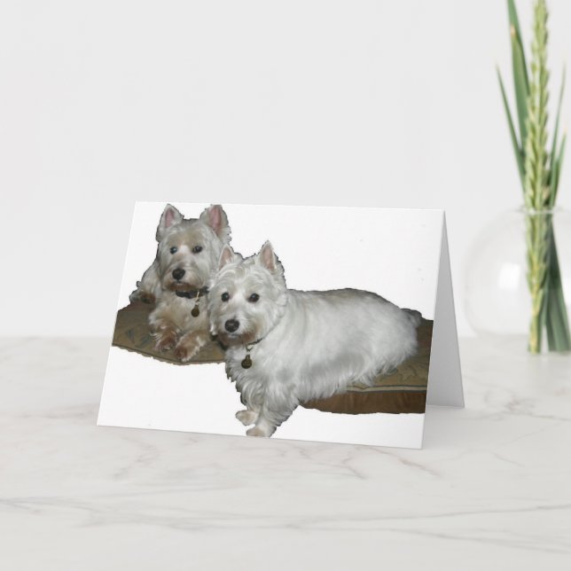 Carte Westie Desi et Lucy (Devant)