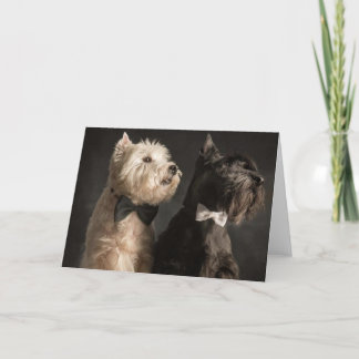 Carte Westie et Scottie