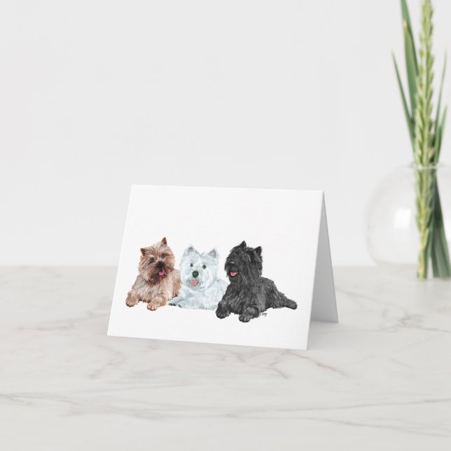 Carte Westie et terriers Cairn (Devant)