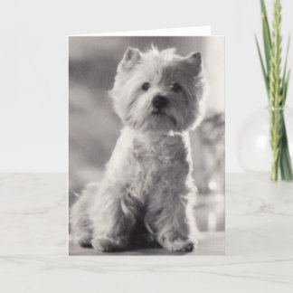Carte Westie noir et blanc