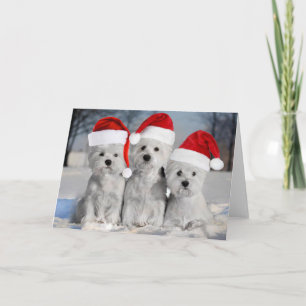 Carte Westies In the Snow Holiday Card