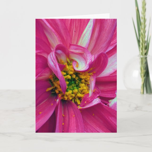 Carte What's in the Frames? #4 (Devant)