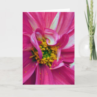 Carte What's in the Frames? #4