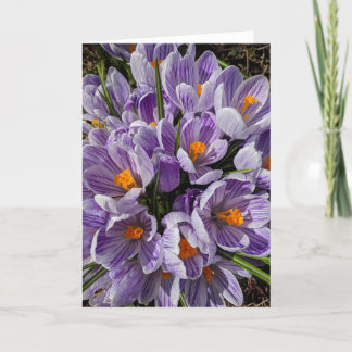 Carte What's in the Frames? #9