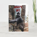 Carte WHAT's UP BEES YOUR AGE ? **60<br><div class="desc">ON YOU ON YOUR ****60th BIRTHDAY******** A BIT OF A TEASE FROM THIS GORILLA OMS WANTS TO KNOW ***WHAT'S UP DES YOUR AGE ?********</div>