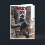 Carte WHAT's UP BEES YOUR AGE ? **70<br><div class="desc">ON YOU ON YOUR ****70th BIRTHDAY******** A BIT OF A TEASE FROM THIS GORILLA OMS WANTS TO KNOW ***WHAT'S UP DES YOUR AGE ?********</div>
