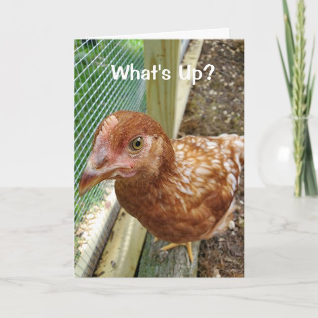 Carte What's Up Chicken Butt Funny humour de poulet (Devant)