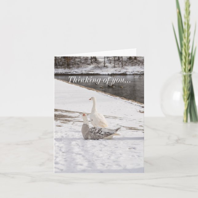 Carte Whats Up Goose (Devant)
