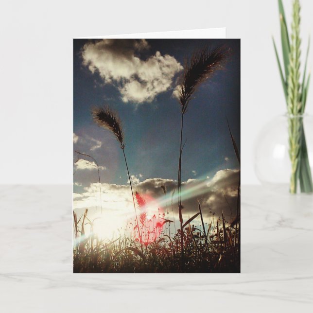 Carte "Wheat Field" Birthday Card (Devant)