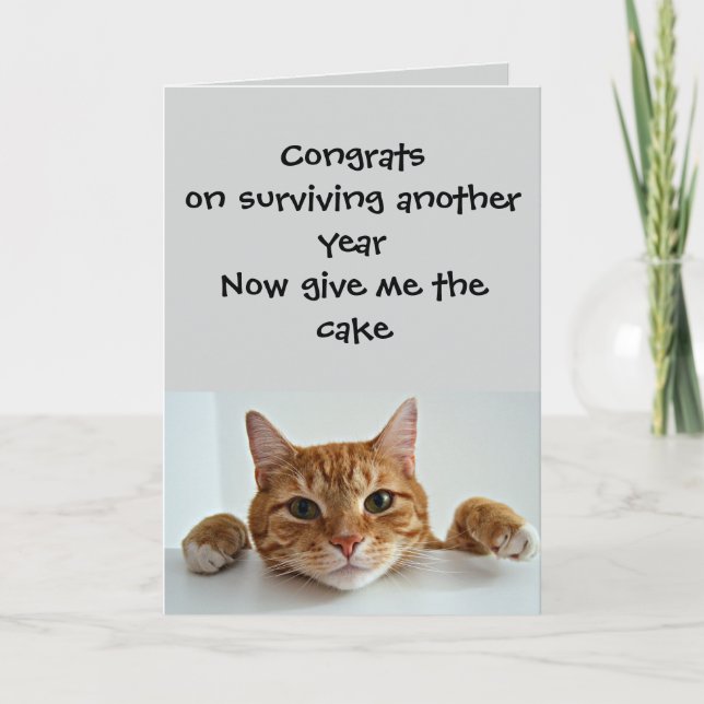 Carte When the Cat Cares.. Just a Little –Funny Birthday (Devant)