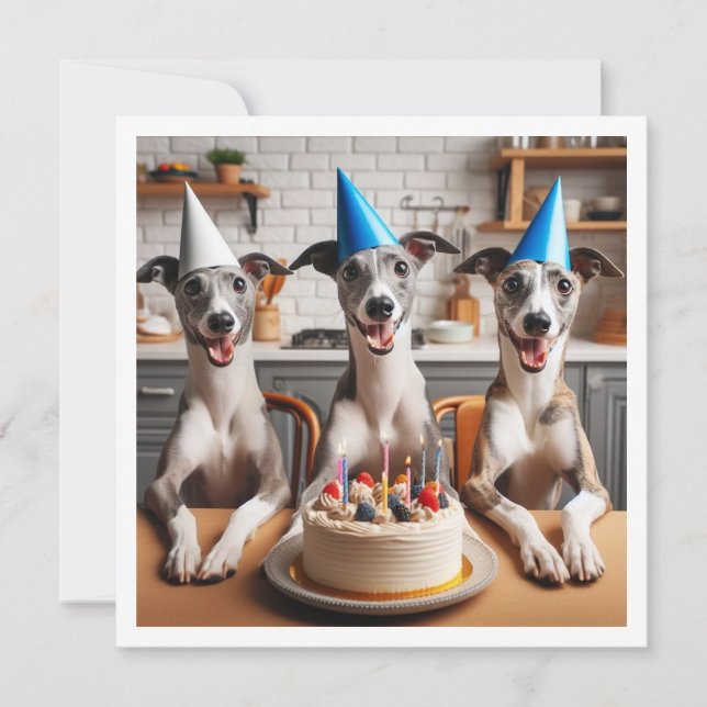 Carte Whippet, anniversaire Whippet, Whippet (Devant)