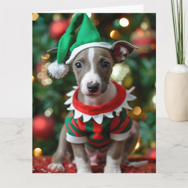 Carte Whippet Elf Puppy Christmas Card (Devant)