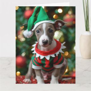 Carte Whippet Elf Puppy Christmas Card