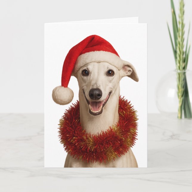 Carte Whippet in a Santa hat Christmas greetings card (Devant)