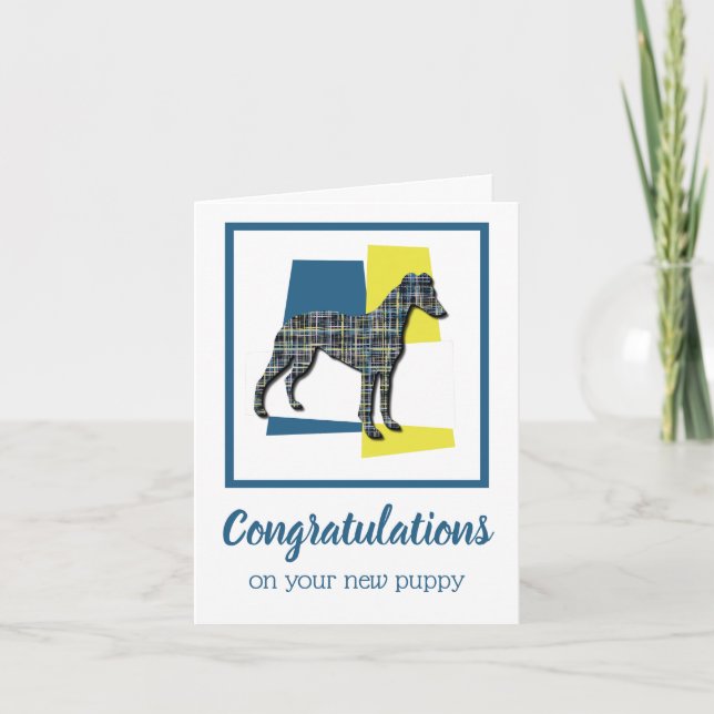 Carte Whippet / Italien Greyhound Puppy Félicitations (Devant)