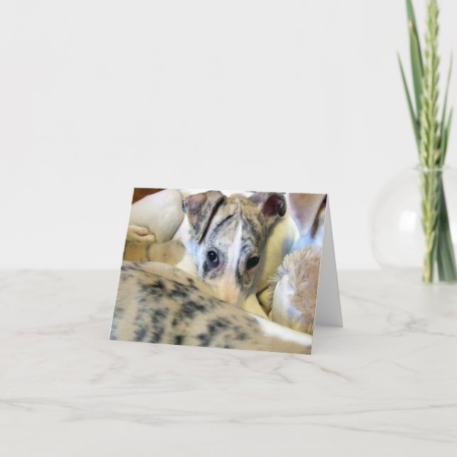 Carte Whippet puppy notecard (Devant)